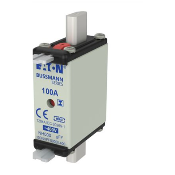 EATON伊頓Bussmann系列快速圓帽式熔斷器 FWX-50A22FI